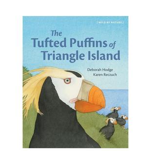 【现货】三角岛的簇羽海鹦 The Tufted Puffins of Triangle Island英文进口原版儿童绘本图书3-6岁Deborah Hodge