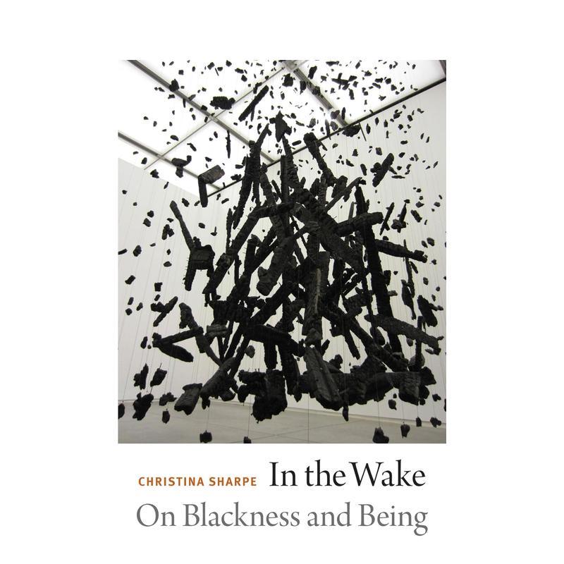 在苏醒:关于黑暗和存在 In