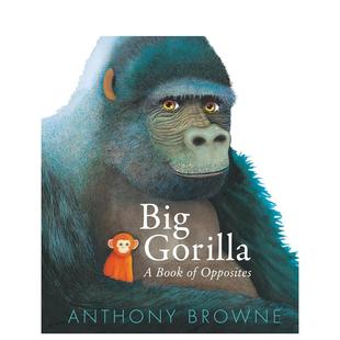 【预售】大猩猩:对立面之书 绘本大师安东尼·布朗 Big Gorilla: A Book of Opposites 英文进口原版儿童语言/概念启蒙