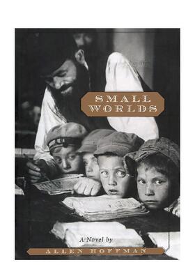 【预售】小世界 Small Worlds 英文进口原版文学小说Abbeville Press外文图书