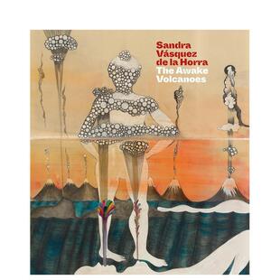 【预售】桑德拉·巴斯克斯·德拉奥拉 Sandra V??squez de la Horra 英文进口原版艺术画册画集外文图书Raphael Fonseca