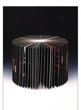 【现货】Order of Things，事物秩序 英文原版图书籍进口正版 David James，Norbert Schoerner 摄影-综合作品