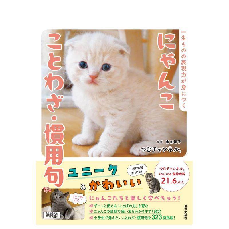 与可爱猫咪一起学习谚语&middot;惯用句