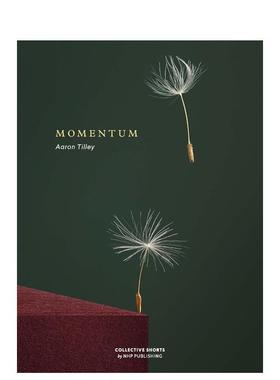 【现货】动量Momentum英文进口原版摄影集Aaron Tilley外文正版图书籍Aaron Tilley