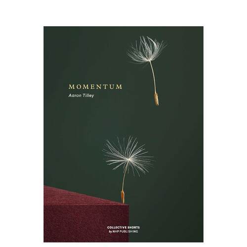 动量 Momentum 原版英