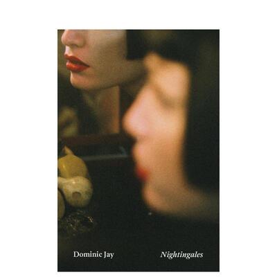 【预售】夜莺：为卢西安·弗洛伊德当模特及其他故事Sitting for Lucian Freud and Other Stories 英文进口原版文学小说Dominic