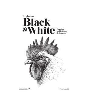 Drawing 现货 and 英文进口原版 Exploring Techniques 探索黑白：绘画技巧 艺术画册画集Hoaki Black Painting White