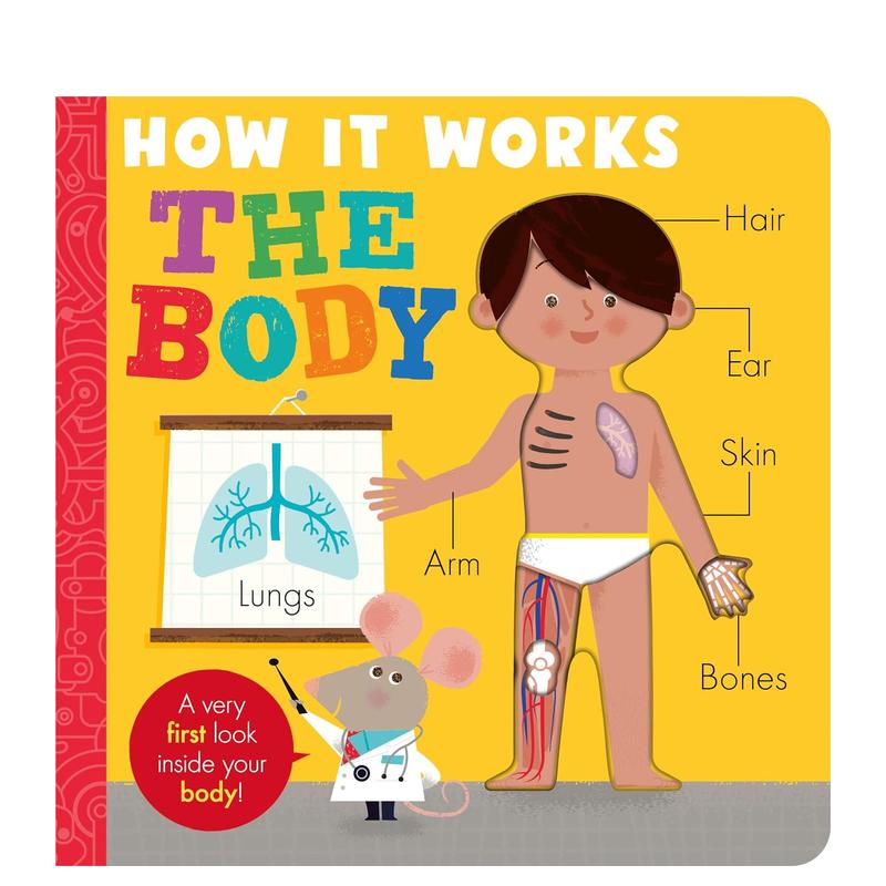 【万物运转】人体 剖面洞洞书