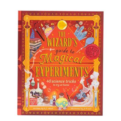 【现货】巫师实验指南 The Wizard's Guide to Magical Experiments 英文进口原版儿童绘本图书 40个实验 含可折叠实验手册Amanda