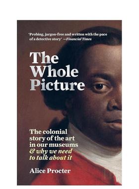 【预售】The Whole Picture，观瞻画的全貌（平装版）英文原版进口艺术图书Alice Procter
