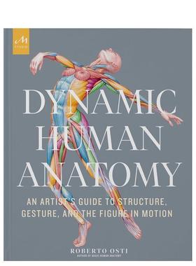 【预售】动态人体解剖学 Dynamic Human Anatomy 英文进口原版艺术画册画集正版图书籍Roberto Osti