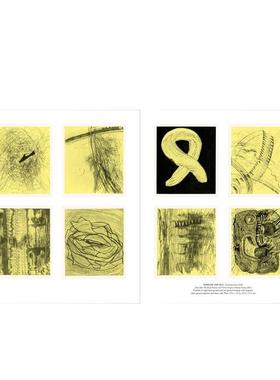 【现货】新领域： Jacob Samuel与当代蚀刻艺术 New Ground: Jacob Samuel And Contemporary Etching 英文进口原版艺术画册画集M