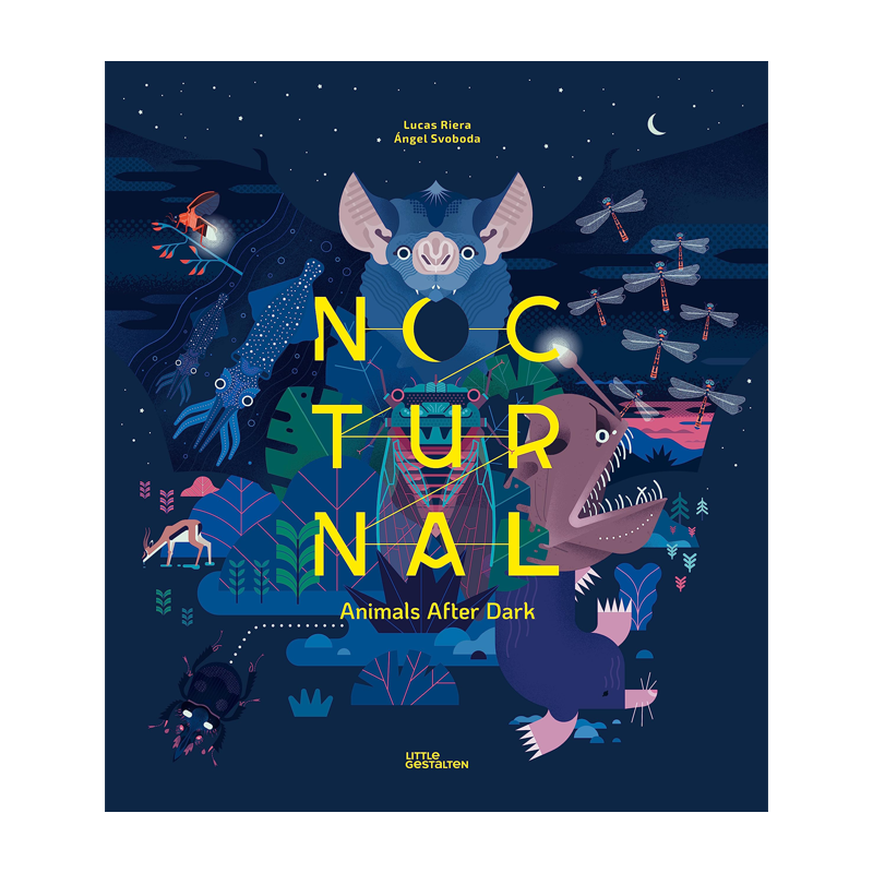 夜行动物 Nocturnal 英文儿童绘本