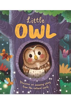 【预售】自然故事： 小猫头鹰Nature Stories: Little Owl-Discover an Amazing Story from the Natural World: Padded Board Bo