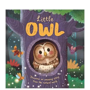 Natural Amazing Story Stories Owl Padded Board 小猫头鹰Nature Little Discover the from World 自然故事： 预售