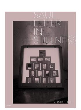 【预售】Saul Leiter: In Stillness，索尔·雷特摄影集：在寂静中 日文进口原版艺术摄影图书 井津由美子  佐藤正子 株式会社リブ