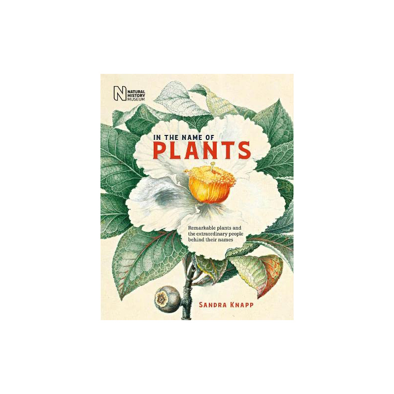 英文原版图书籍进口正版