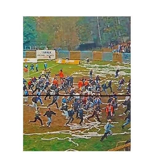 刀耕火种 Slash & Bu