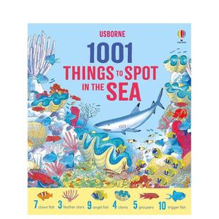 Sea英文进口原版 Daynes知识百科 1001 Spot 海洋寻宝图鉴：1001种海洋生物 Things 儿童绘本图书Katie the 预售