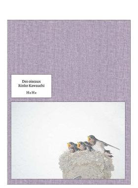 【预售】川内伦子摄影集：鸟类 Des oiseaux 日文进口原版艺术图书摄影 ツバメ出版流通 ＨｅＨｅ