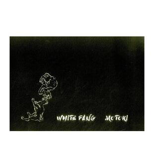 【预售】本木久美子：白牙 Kumiko Motoki 英文进口原版摄影作品集正版图书 Kumiko Motoki Verlag Kettler