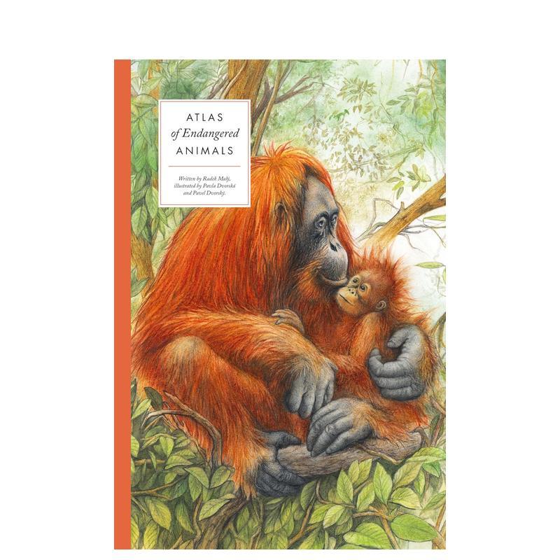 濒危动物图集 【Large E