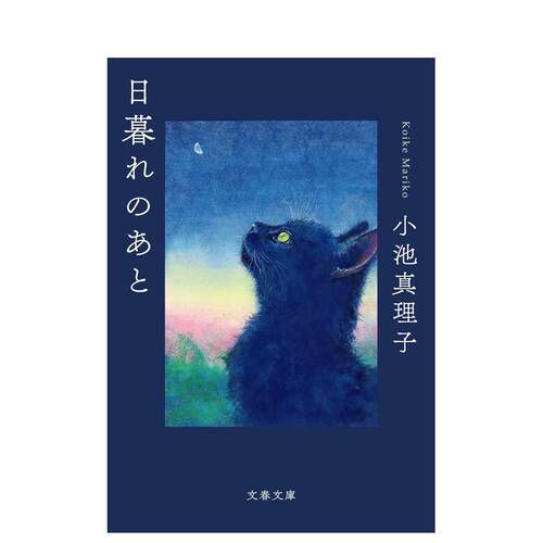 【预售】黄昏之后 日暮れのあと 日文原版小说日本文学进口图书籍日语 小池 真理子 文艺春秋
