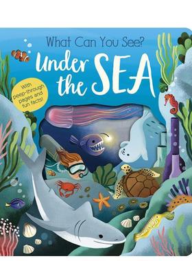 【WH】【你能看到什么】海底 洞洞书What Can You See? Under the Sea 英文进口原版儿童趣味图书Molly Littleboy  María Pere