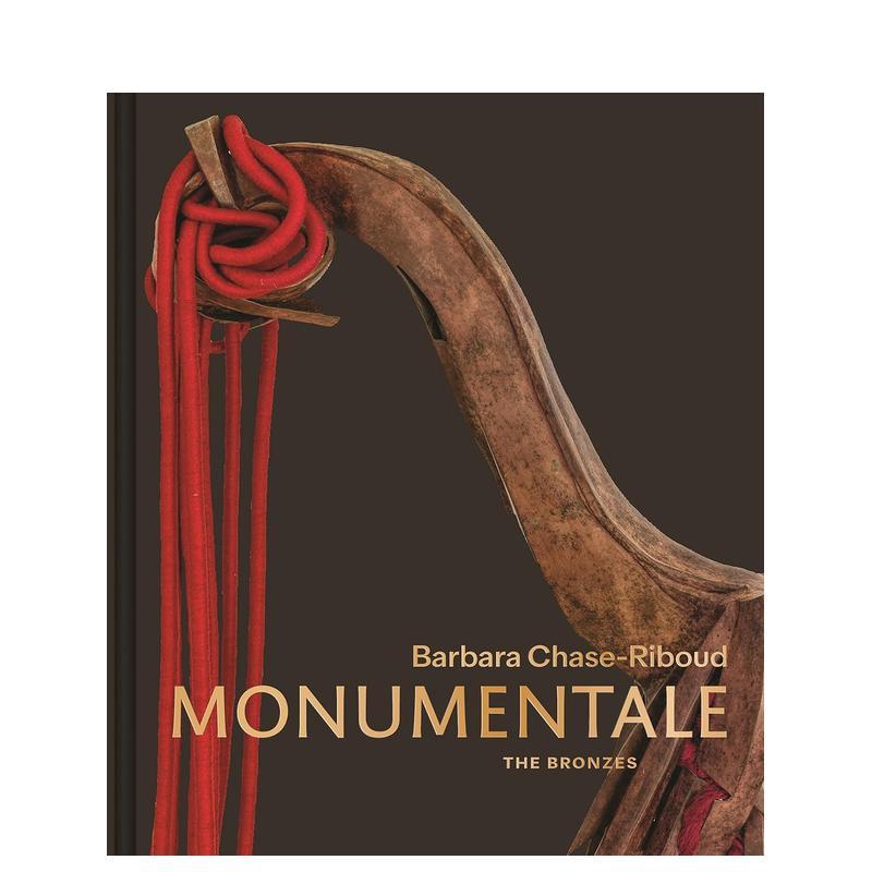 艺术家Barbara Chas