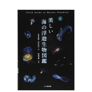 【预售】美丽的海洋浮游生物图鉴 美しい海の浮游生物図鉴 原版进口日文摄影作品集 若林 香织 日版图书