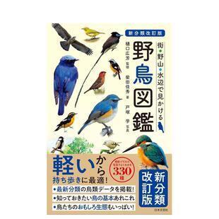 野鸟図鉴 街・野山・水辺で见かける 艺术图书 预售 樋口広 日文进口原版 新分类改订版 野鸟图鉴 城市野山水边