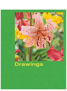 【预售】马修·瑟莱蒂：图纸 Mathew Cerletty: Drawings 英文进口原版艺术画册画集Karma Books New York