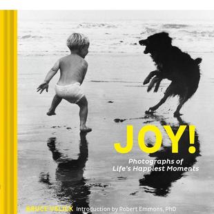 快乐 PhD Emmons 英文进口原版 现货 Joy 外文图书Bruce 照片 生活中快乐时刻 Robert 英文原版 Velick 治愈摄影集