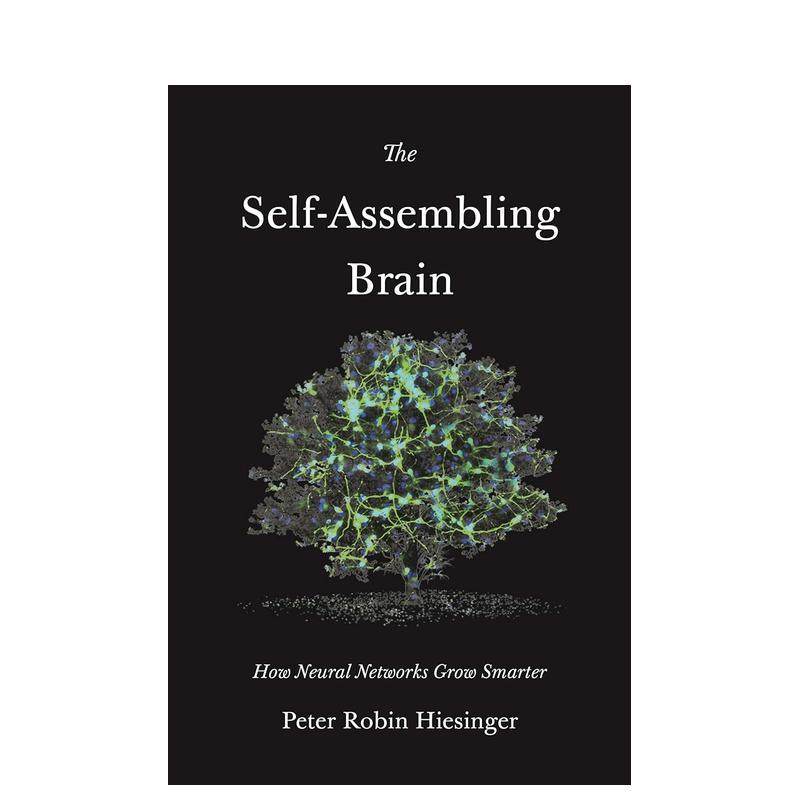 自我组装的大脑：神经网络如何变
