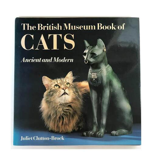 大英博物馆的猫 the bri