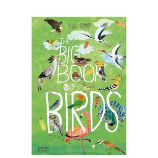 Big Book T&H3 鸟类大书The Birds英文儿童图书籍进口原版 6岁 现货