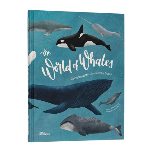 【现货】The World of 现货ales: Get to Know the Giants of the Ocean 鲸的世界 Becky Thorns 原版图儿童趣识绘本 Darcy Dobell