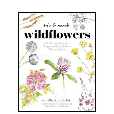 【预售】水墨野花 Ink & Wash Wildflowers英文进口原版艺术画册画集正版图书Camilla Damsbo Brix