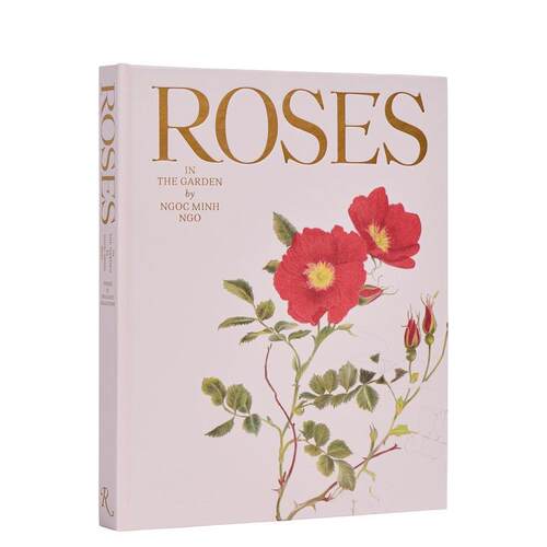 花园里的玫瑰 Roses in