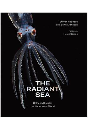【现货】radiant sea：水下世界的色彩与光明 The Radiant Sea 英文进口原版摄影作品集自然景观图书Steven Haddock