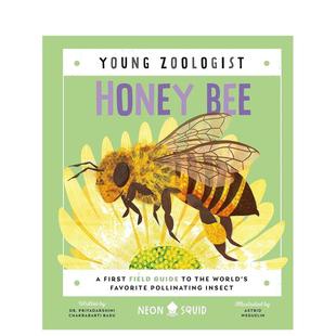 Young Bee 预售 蜜蜂 Neon 动物生态环保 6岁 Zoologist 小动物学家 儿童绘本图书 英文进口原版 Honey Squid