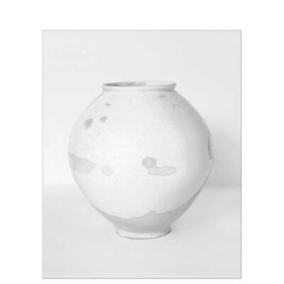 【预售】The Scholar's Vision The Photographer's Eye学者的视野：韩国陶瓷 英文进口原版版艺术画册画集外文图书 Chung Yangmo