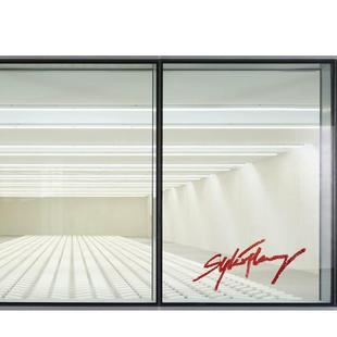 Fleury Sylvie 艺术画册画集JRP 预售 Editions 英文进口原版 瑞士观念艺术家Sylvie Positive Double