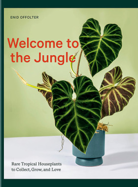 【预售】【翰德图书】Welcome to the Jungle，欢迎来到丛林 英文原版图书籍进口正版 Enid Offolter 生活综合