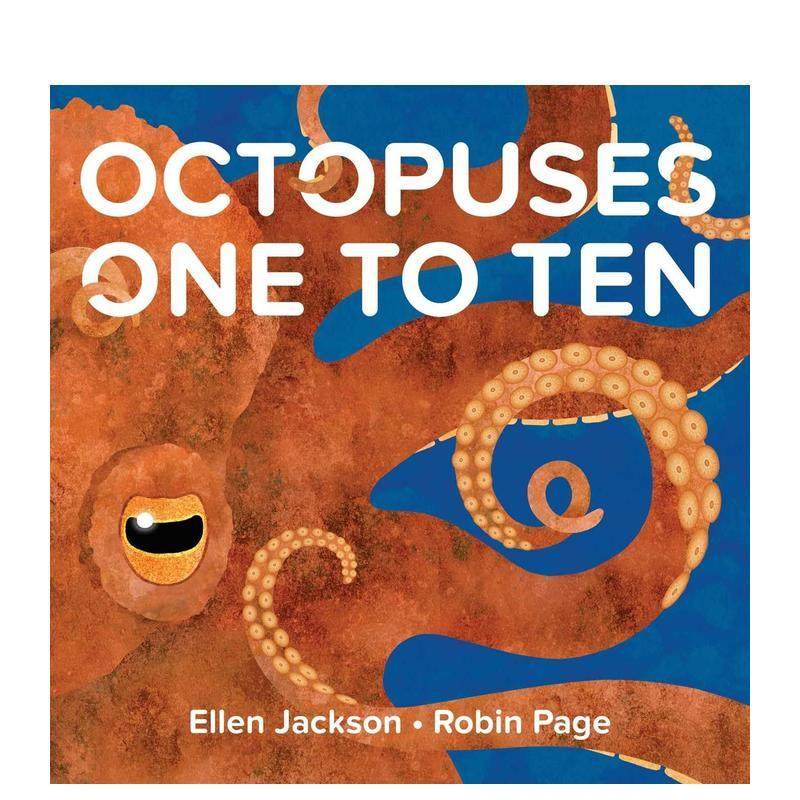 章鱼的10个小知识 Ocuse