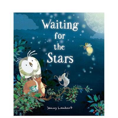 【预售】等待星星 Waiting For The Stars 英文进口原版儿童绘本图书Lambert  Jonny外文正版