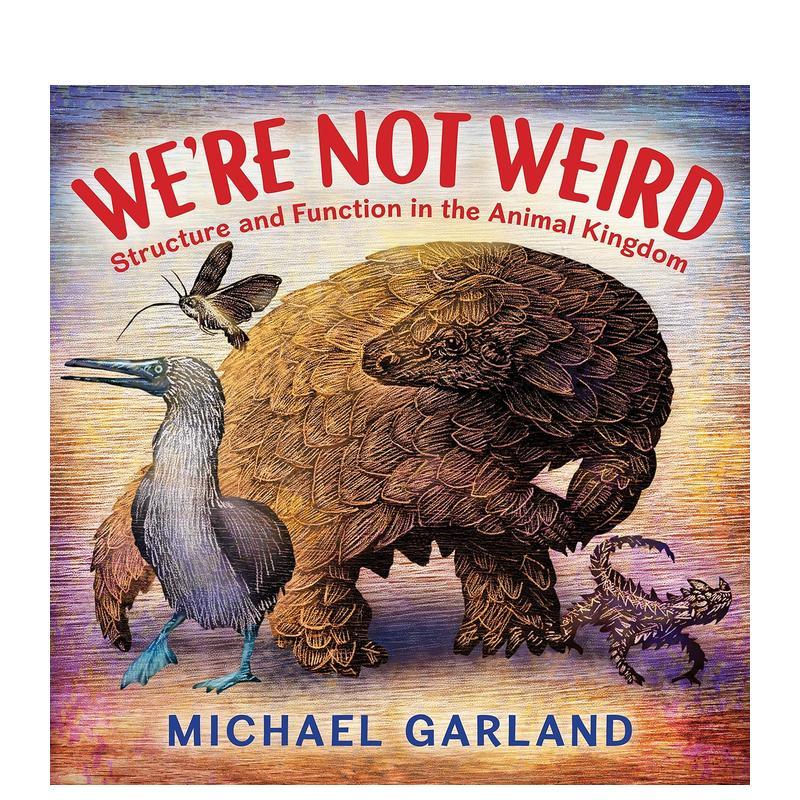 我们并不奇怪：动物王国的结构和