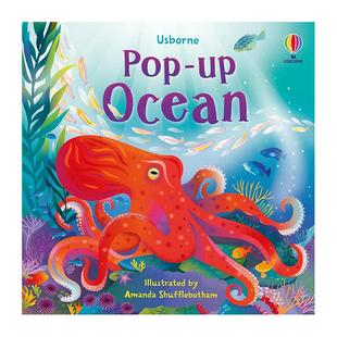 海洋Ocean Pop 9岁立体书Lizzie 现货 Cope 儿童图书6 立体书 英文进口原版