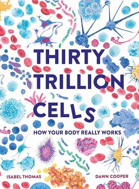 【现货】Thirty Trillion Cells: How Your Body Really Works，30万亿个细胞: Isabel Thomas 儿童绘本-知识百科