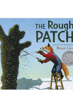 【现货】粗糙的补丁 the Rough Patch英文进口原版儿童绘本图书Brian Lies-自我认知/情绪管理